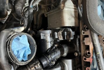 European auto repair service